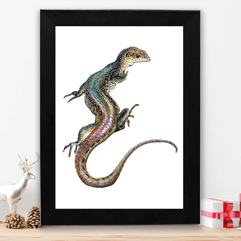 Lizard Vintage Wall Art – 46Memories