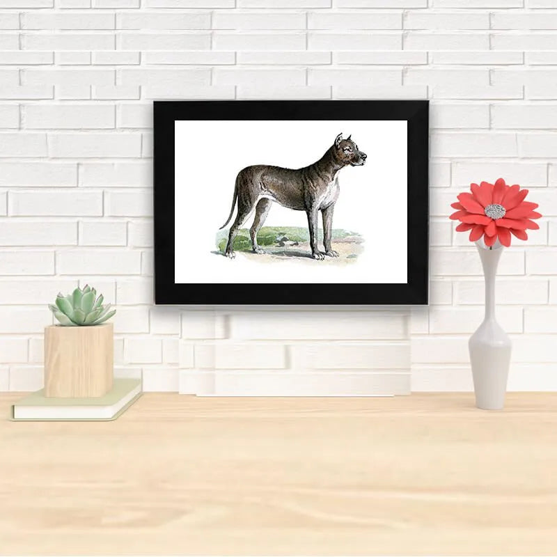 Vintage Dog illustration Farmhouse