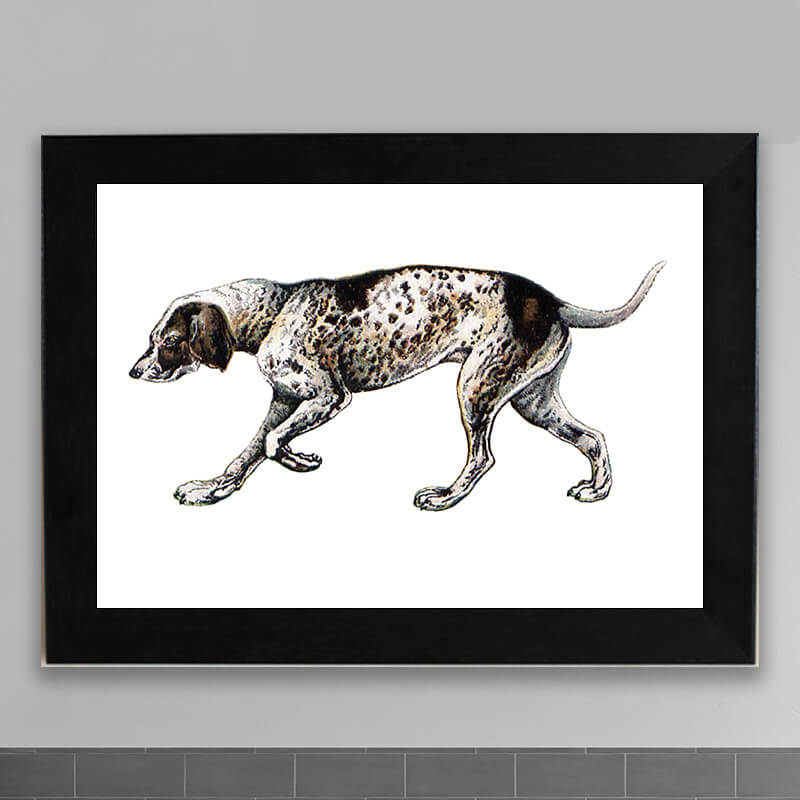 Vintage Dog illustration